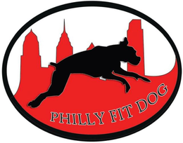 PHILLY FIT DOG trademark
