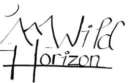WILD HORIZON trademark