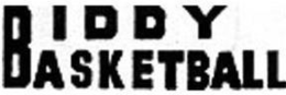 BIDDY BASKETBALL trademark