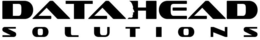 DATA HEAD SOLUTIONS trademark