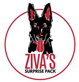 ZIVA'S SURPRISE PACK trademark