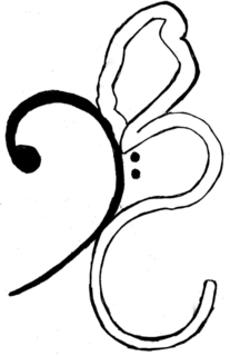 BC trademark