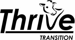 THRIVE TRANSITION trademark