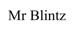 MR BLINTZ trademark