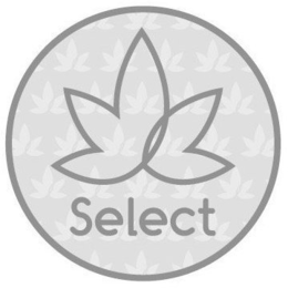 SELECT trademark