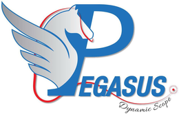 PEGASUS DYNAMIC SCOPE trademark