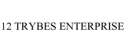 12 TRYBES ENTERPRISE trademark