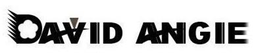 DAVID ANGIE trademark