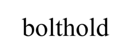 BOLTHOLD trademark