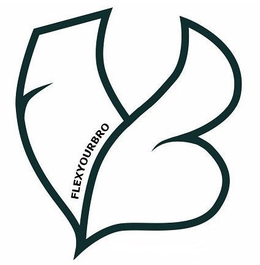 FYB FLEXYOURBRO trademark
