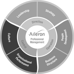 AILERON PROFESSIONAL MANAGEMENT DIRECTION LEADERSHIP STRATEGY OPERATION BUSINESS STRUCTURE PEOPLE DEVELOPMENT CONTROL CULTURE ORGANIZATIONAL PERFORMANCE trademark