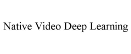 NATIVE VIDEO DEEP LEARNING trademark