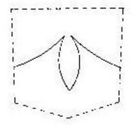 V trademark