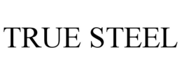 TRUE STEEL trademark