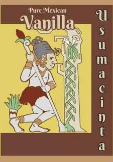 PURE MEXICAN VANILLA USUMACINTA trademark