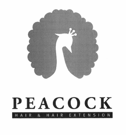 PEACOCK HAIR. HAIR EXTENSION trademark