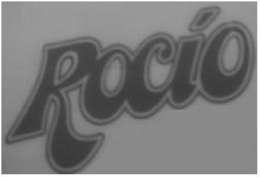 ROCIO trademark