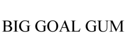 BIG GOAL GUM trademark