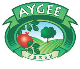 AYGEE FRESH trademark