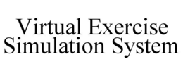 VIRTUAL EXERCISE SIMULATION SYSTEM trademark