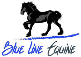 BLUE LINE EQUINE trademark