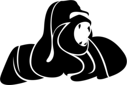 NUWUD trademark
