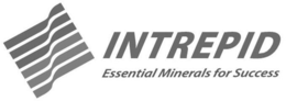 INTREPID ESSENTIAL MINERALS FOR SUCCESS trademark