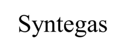 SYNTEGAS trademark