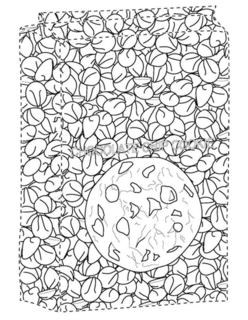 CHOCOLATE CHIP COOKIE trademark