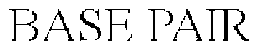 BASE PAIR trademark