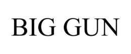 BIG GUN trademark