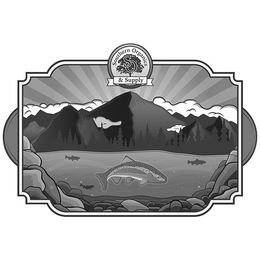SOUTHERN ORGANICS & SUPPLY SO trademark