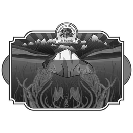 SOUTHERN ORGANICS & SUPPLY S O trademark
