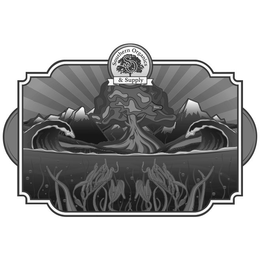 SOUTHERN ORGANICS & SUPPLY S O trademark