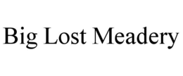 BIG LOST MEADERY trademark
