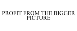 PROFIT FROM THE BIGGER PICTURE trademark