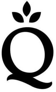 Q trademark