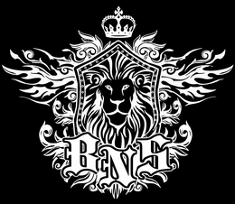 BNS trademark