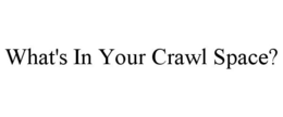 WHAT'S IN YOUR CRAWL SPACE? trademark