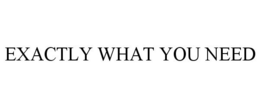 EXACTLY WHAT YOU NEED trademark