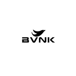 BVNK trademark