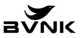 BVNK trademark