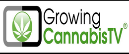 GROWING CANNABISTV trademark