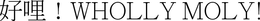 ! WHOLLY ! trademark