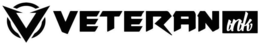 V VETERAN INK trademark
