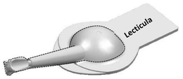 LECTICULA trademark