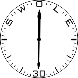 SWOLE:30 trademark