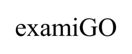 EXAMIGO trademark