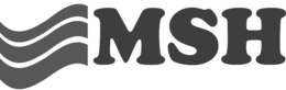 MSH trademark