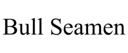 BULL SEAMEN trademark